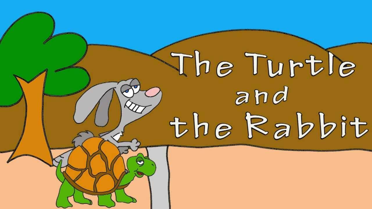 The Rabbit and the Turtle picture